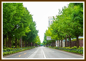道路